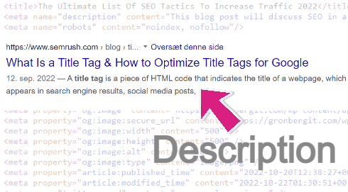 SEO Meta Description Tag